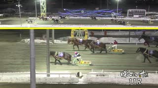 2021年2月1日帯広競馬11R ダイヤモンドダスト賞(5歳OP) コマサンエース
