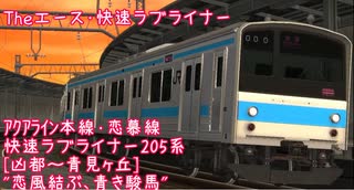 【車窓】"恋風結ぶ、青き駿馬"205系快速ラブライナー：凶都～青見ヶ丘