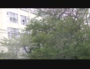 2017年9月6日１１時40分   「おっぱい」「まんこ」