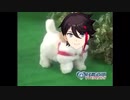 Twitter動画まとめ その3