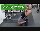 シシースクワットの正しいやり方 | マシン無しで脚を強烈に鍛える！【ビーレジェンド プロテイン】