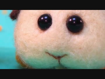 ニンジンの奪い合いに負けてしまったアビーUC