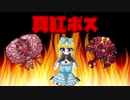 【まったり実況】アリスはサモナーになりたい　7日目【Terraria_Calamity】