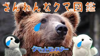 クマの生き方がざんねんすぎる…【ゆっくり解説】