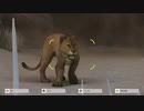 Zoo tycoon つぶやき実況6-7