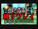 【ドラクエ5 縛りプレイ】いい加減装備集まったので本当に先に進みます。Part64【アルカリ性】
