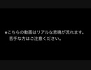 バイオハザードRE2：本気のホラー苦手な人にプレイさせたらこうなる