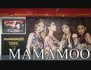【世界で人気沸騰中！”MAMAMOO”渋谷で大展開！】『TRAVEL -Japan Edition-』/ママム　POPアップショップ/生衣装/巨大パネル/グッズ/마마무/솔라/문별/휘인/화사