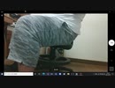 ※50日目以降は説明文から【150kgデブ】ほぼ毎日筋トレの動画投稿していく：26日目【2021_02_02:150.2kg】
