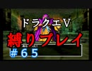 【ドラクエ5 縛りプレイ】せっかくアンクルホーン仲間にしたので試運転させてみるかな？Part65【アルカリ性】