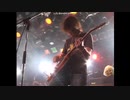 ELEPHANT RIDE / The Collectors