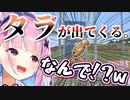 【マイクラ】たらを入れたらたらが出てくる画期的な装置を発明する湊あくあ