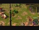 【実況】ちょっくら国盗り合戦してくる【AOEⅢ】part7