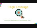 Salesforce Marketing Cloud Developer Exam Questions