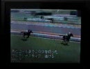 ダービースタリオンDS ブリーダーズカップのテスト