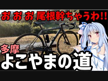 【おおお尾根幹ちゃうわ!!】多摩よこやまの道Part1【知られざるダートコース】