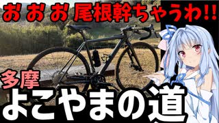 【おおお尾根幹ちゃうわ!!】多摩よこやまの道Part1【知られざるダートコース】