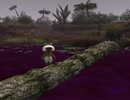 【FF11】水林の木の橋が沈むやつ