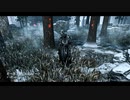 【実況なし】新米看護師の看護日誌Part22【DBD】