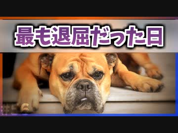 【ゆっくり解説】20世紀で最も退屈な日【今日の豆知識】