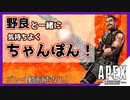 【APEX】野良との連携が完璧だった試合のプレイ動画！【シーズン８/ヒューズ】