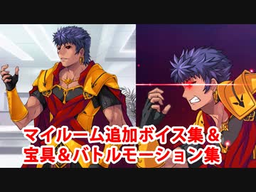 Fate/Grand Order カリギュラ 追加マイルームボイス＆バトルボイス集＆リニューアル版バトルモーション集（2/3追加分）
