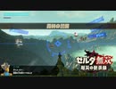 [初見] ゼルダ無双厄災の黙示録 一応実況プレイかも！ 第22回