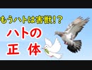 【平和の象徴】なぜ鳩だったのか…その秘密に迫ってみる！