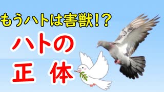 人気の 平和の象徴 動画 35本 ニコニコ動画