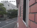 20180529 「はげ、おい」