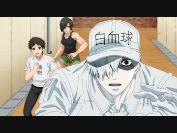 はたらく細胞!!　第5話　サイトカイン