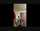 THE TIMERS/デイ・ドリーム・ビリーバー(cover)