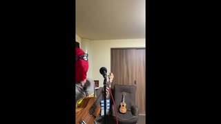 THE TIMERS/デイ・ドリーム・ビリーバー(cover)
