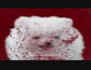 【The Pomeranian】人喰いポメラニアン 実況