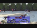 2021年2月4日姫路競馬12R ありがとう！競馬キンキＦＩＮＡＬ(C2) パドック～本馬場入場