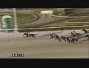 2021年2月4日姫路競馬12R ありがとう！競馬キンキＦＩＮＡＬ(C2) ザンシン