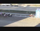 2021年2月4日浦和競馬11R 梅花（ばいか）賞(OP) プレシャスエース