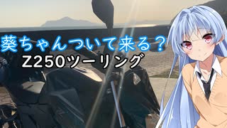 葵ちゃんついて来る？第1話「簡単に言えば暗めの水色です」