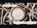 【スパイスを知ろう！】インドニンジンを知ろう！【part66】