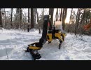 ホモと見る進化した例のロボット