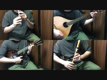 プリコネR「絆、つないで。こころ、結んで。」メインテーマをアイリッシュ楽器等で演奏してみた