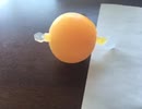 This orange thing looks tasty