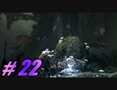【初見実況】 Ori and the Will of the Wisps part22 【飲酒注意】