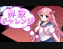 【雀魂-じゃんたま-】初心者の麻雀生活　４６日目　昇段チャレンジ　海底摸月で和了！？