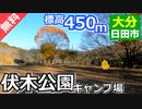 【大分 無料】伏木公園キャンプ場（日田市）を紹介