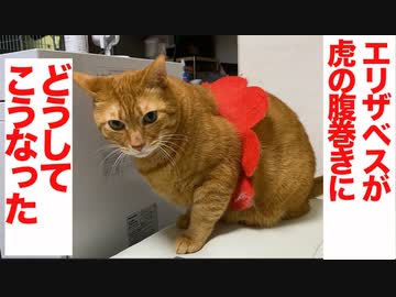 ポン・デ・タイガー、たてがみが腹巻きになる