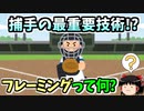 【初心者向け】 1から始める 野球統計 セイバーメトリクス ゆっくり解説 [第五回]【フレーミング】