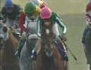 競馬 タイキシャトル 全レースダイジェスト(BGMなし)