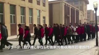 多数のグローバル企業が、拷問虐殺国家・中国の強制労働に加担