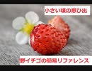【スパイスを知ろう！】野イチゴを知ろう！【part67】